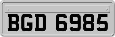 BGD6985