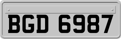 BGD6987