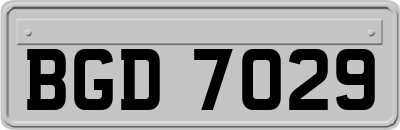 BGD7029