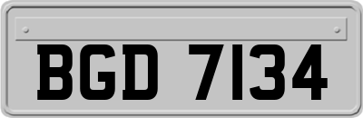 BGD7134