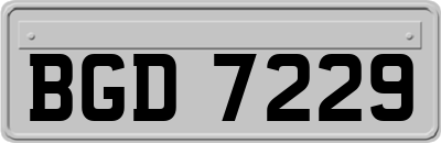 BGD7229