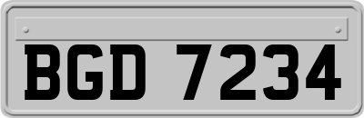 BGD7234
