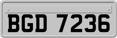 BGD7236