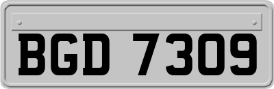 BGD7309