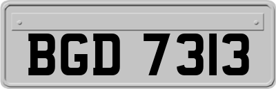 BGD7313