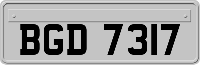 BGD7317