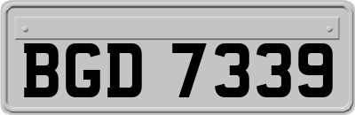 BGD7339