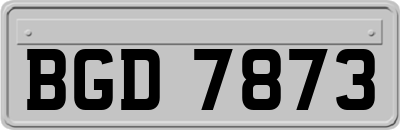 BGD7873