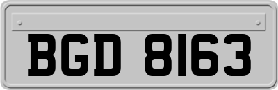 BGD8163