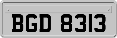 BGD8313