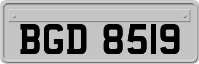 BGD8519