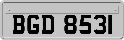BGD8531