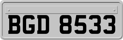 BGD8533