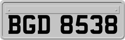 BGD8538