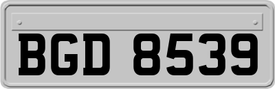BGD8539