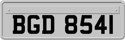 BGD8541