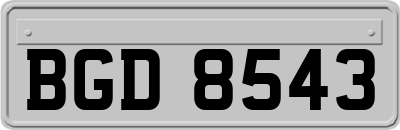 BGD8543