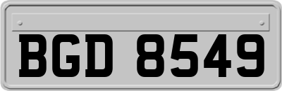 BGD8549