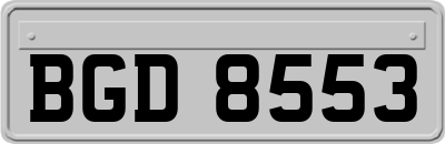 BGD8553