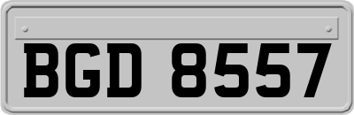 BGD8557