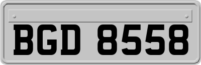 BGD8558