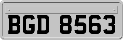 BGD8563
