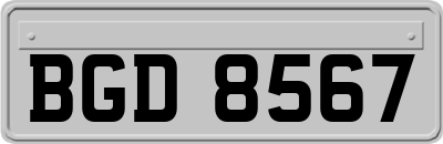 BGD8567
