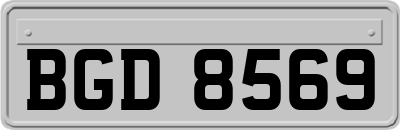 BGD8569