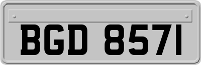 BGD8571