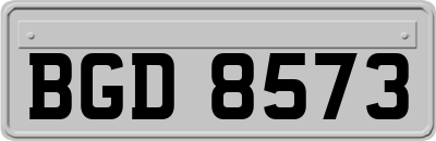 BGD8573
