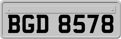 BGD8578