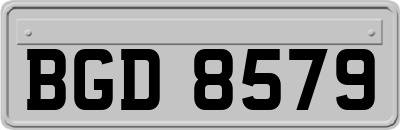 BGD8579