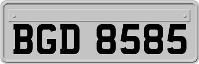 BGD8585
