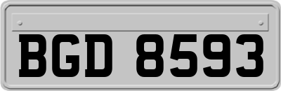 BGD8593