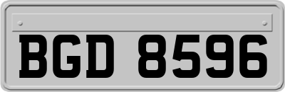 BGD8596