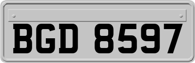 BGD8597