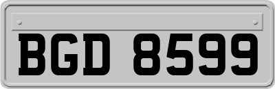 BGD8599