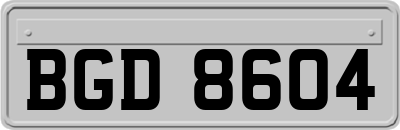 BGD8604