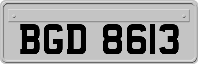 BGD8613