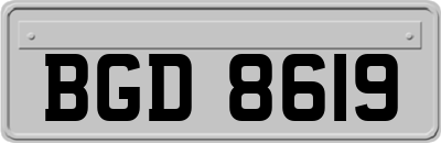 BGD8619