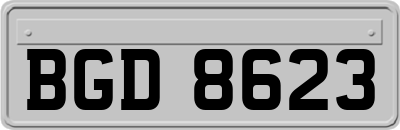BGD8623