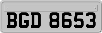 BGD8653
