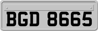 BGD8665