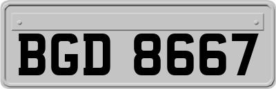 BGD8667