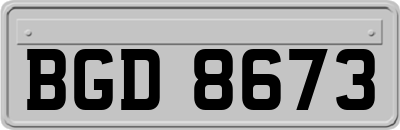 BGD8673