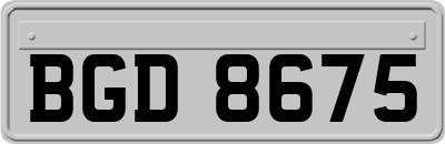 BGD8675