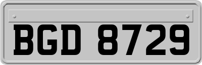 BGD8729