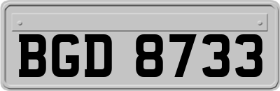 BGD8733