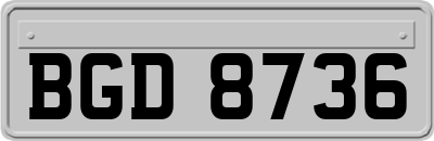 BGD8736