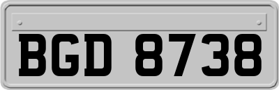 BGD8738